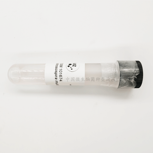 Nitrosospira multiformis_国际菌种资源_DSMZ保藏中心_微生物菌种查询网-ATCC,菌种,质粒,细胞系