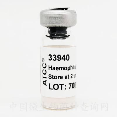 CIP 542 [X2]