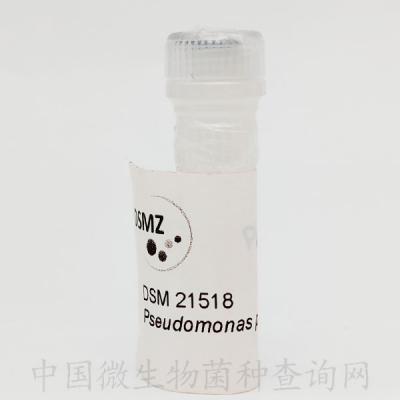 phi6 假單胞菌噬菌體