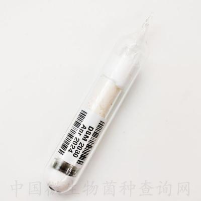 高溫厭氧桿菌屬