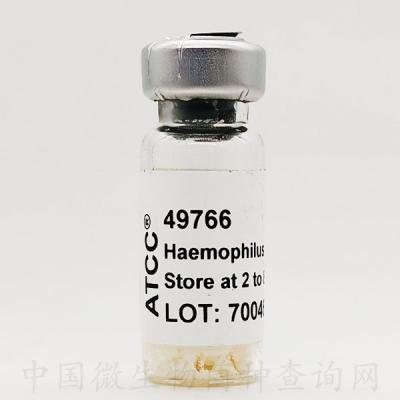 流感嗜血桿菌