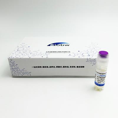 東方擬無(wú)枝酸菌