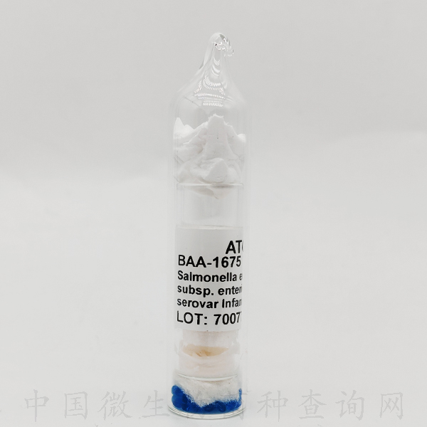 MZ1479 [SARB27] 肠沙门氏菌肠亚种婴儿血清型