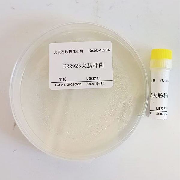 ER2925大肠杆菌_中国微生物菌种_国内微生物菌种资源_微生物菌种查询网-ATCC,菌种,质粒,细胞系